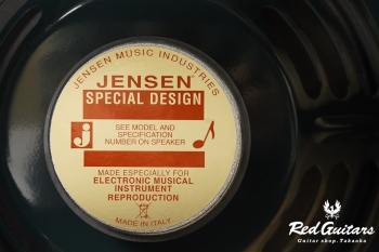 TONE MASTER PRINCETON REVERB